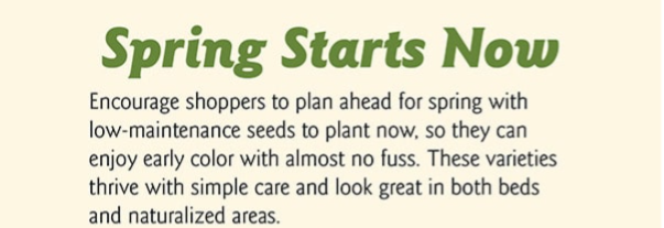 Spring Starts Now