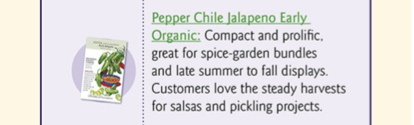 Early Jalapeño Chile Pepper Seeds