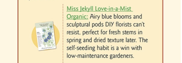 Miss Jekyll Blend Love-In-A-Mist Seeds