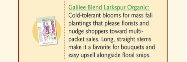 Galilee Blend Larkspur Seeds