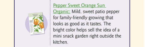 Orange Sun Sweet Pepper Seeds