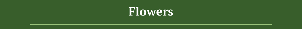 Flowers