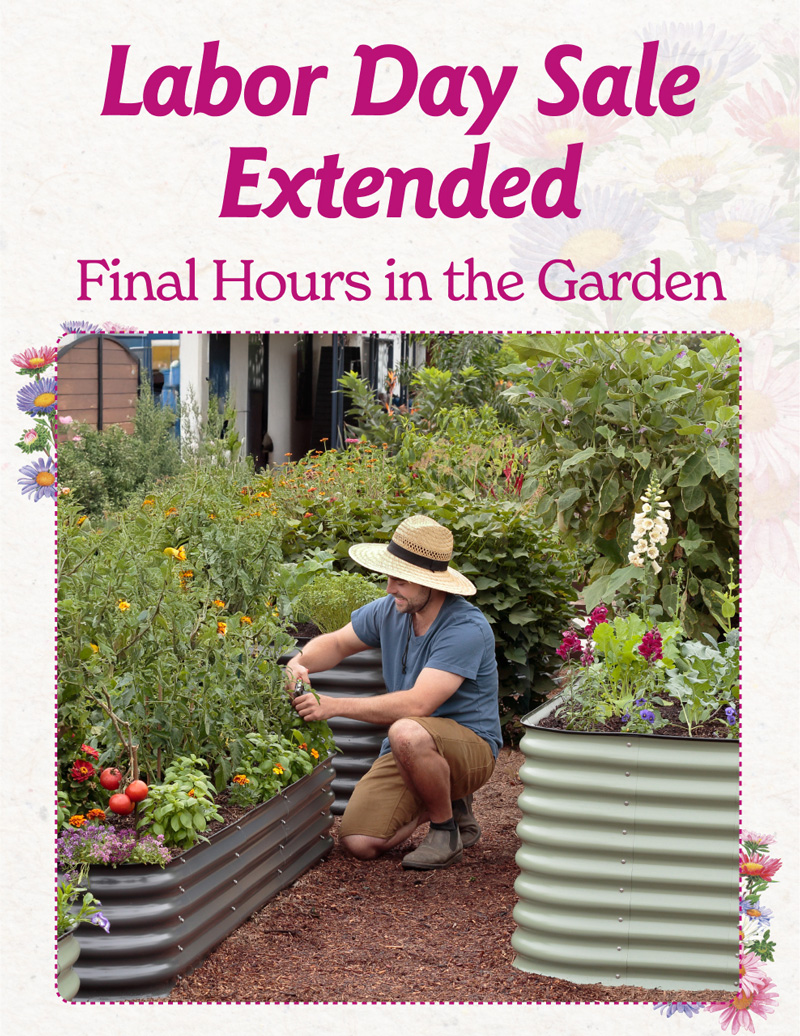 Labor Day Sale Extended Final Hours in the Garden We’ve given the sale one more day of sunshine. 