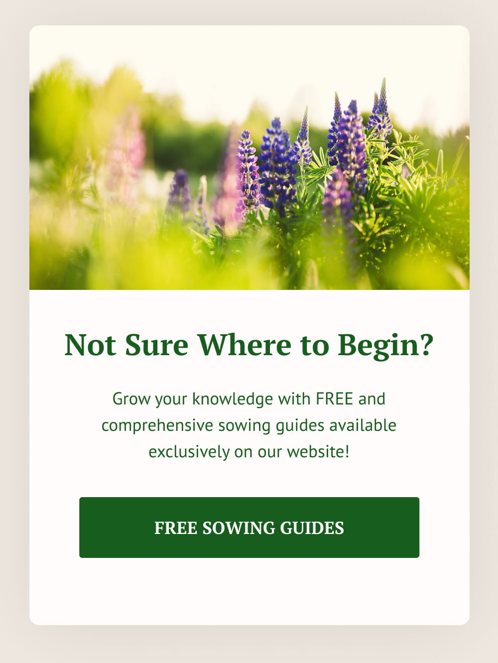 Not Sure Where to Begin? Grow your knowledge with FREE and comprehensive sowing guides available exclusively on our website! [ Free Sowing Guides ]
