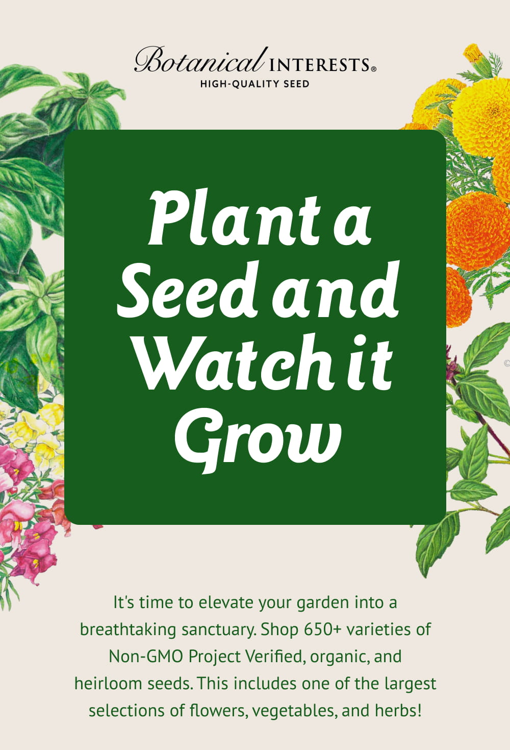 Plant a Seed and Watch it Grow