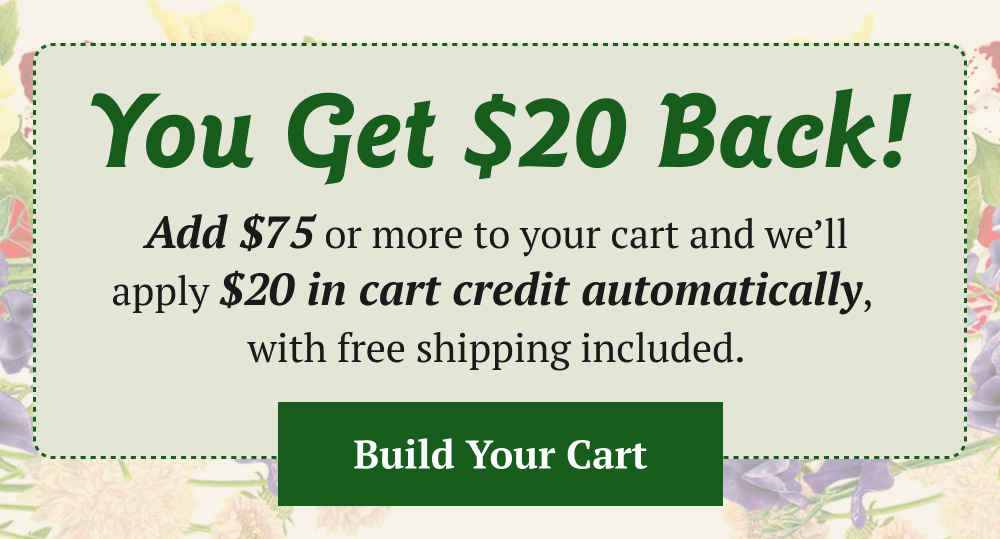 Add $75 or more to your cart and we'll apply $20 in cart credit automatically. With free shipping included.