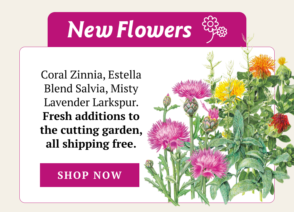 ew Flowers Coral Zinnia, Estella Blend Salvia, Misty Lavender Larkspur. Fresh additions to the cutting garden, all shipping free.