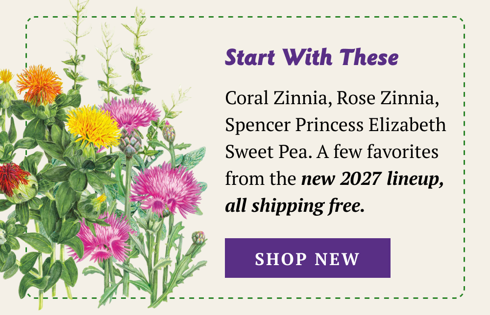 New 2027 lineup, all shipping free.