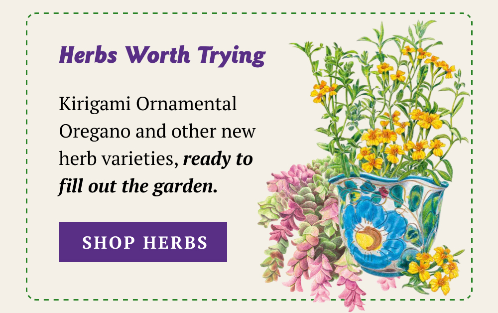 New herb varieties, ready to fill out the garden.