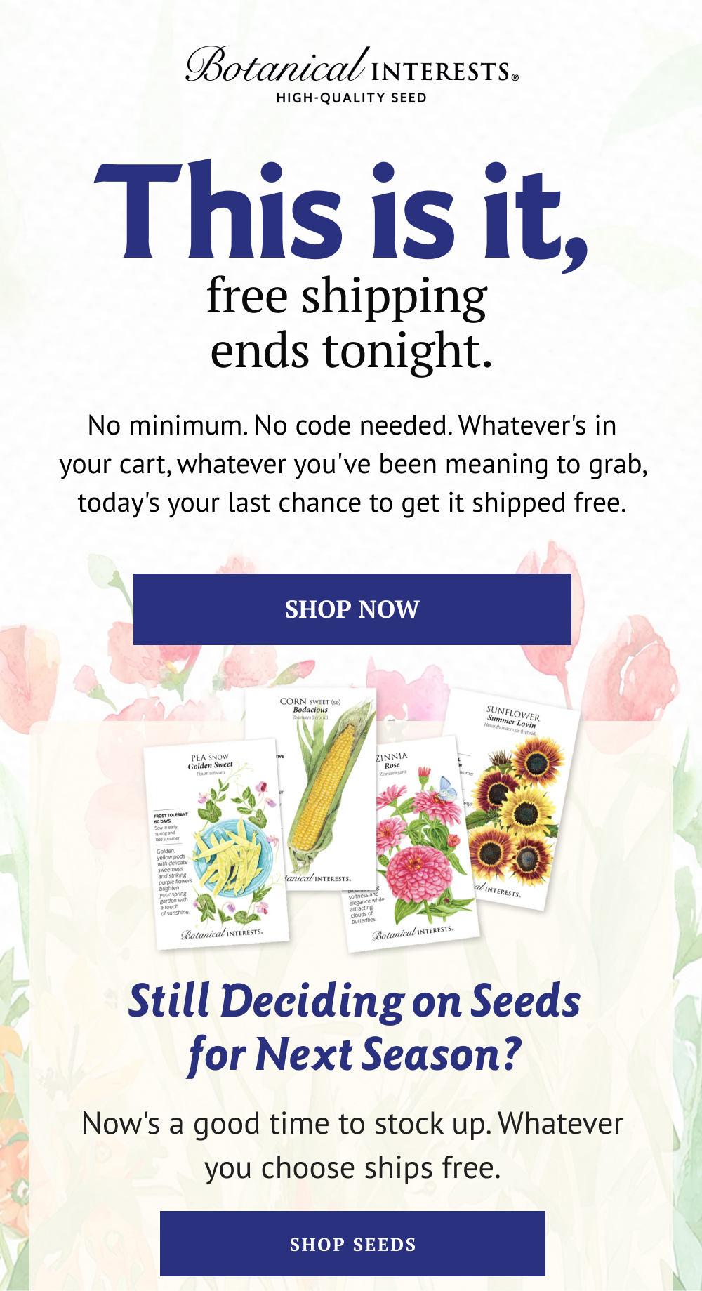No minimum. No code needed. Whatever's in your cart, whatever you've been meaning to grab, today's your last chance to get it shipped free.