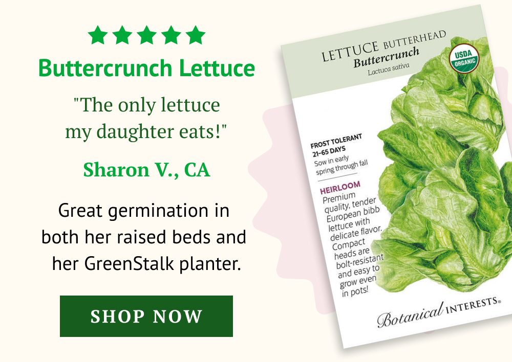 Great germination in both her raised beds and her GreenStalk planter.
