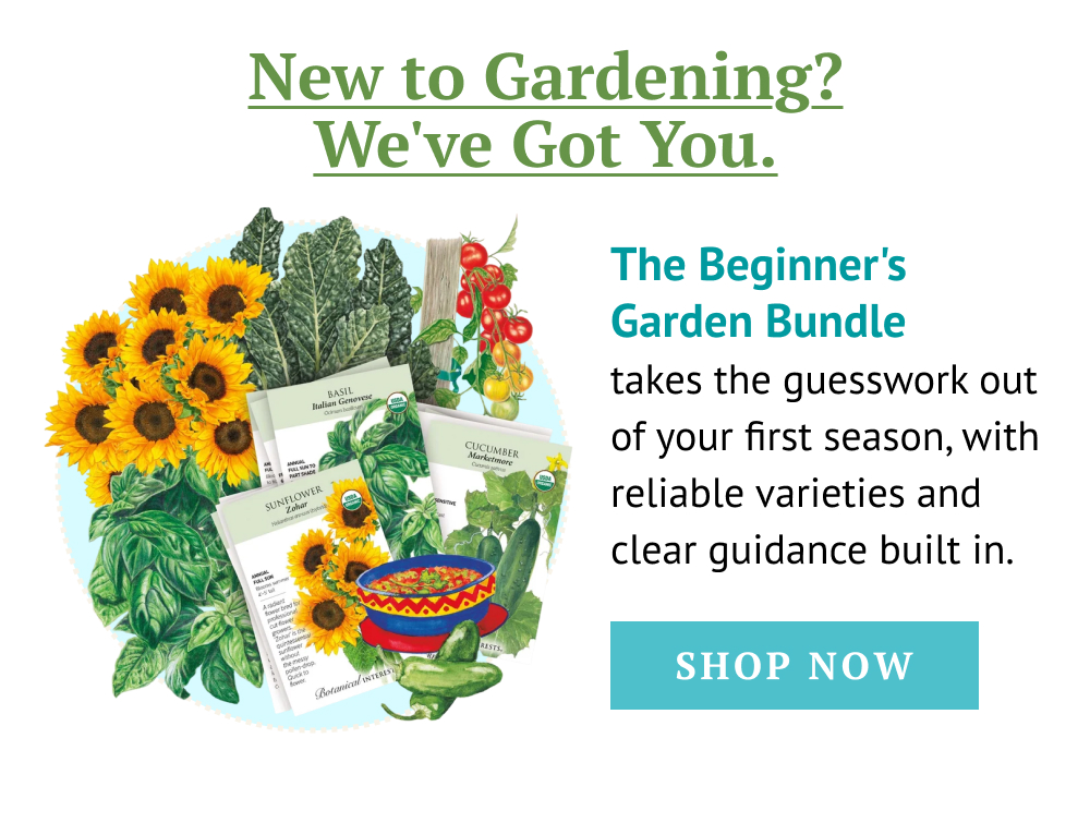 New to Gardening? We've Got You. The Beginner's Garden Bundle takes the guesswork out of your first season, with reliable varieties and clear guidance built in.