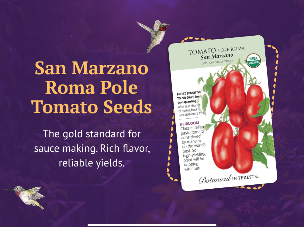 San Marzano Roma Pole Tomato Seeds - The gold standard for sauce making. Rich flavor, reliable yields.