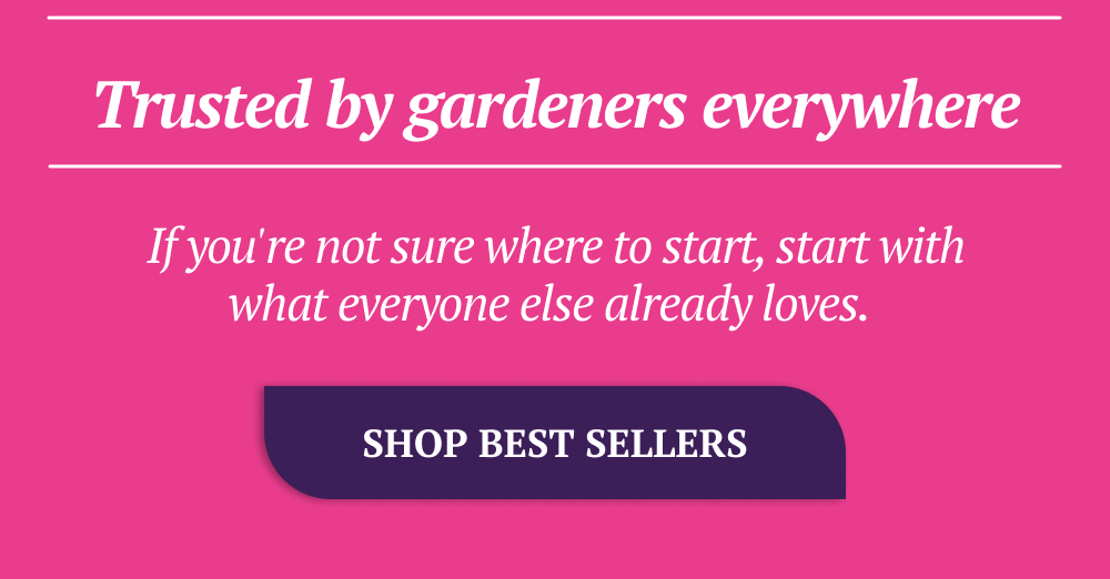 If you're not sure where to start, start with what everyone else already loves.