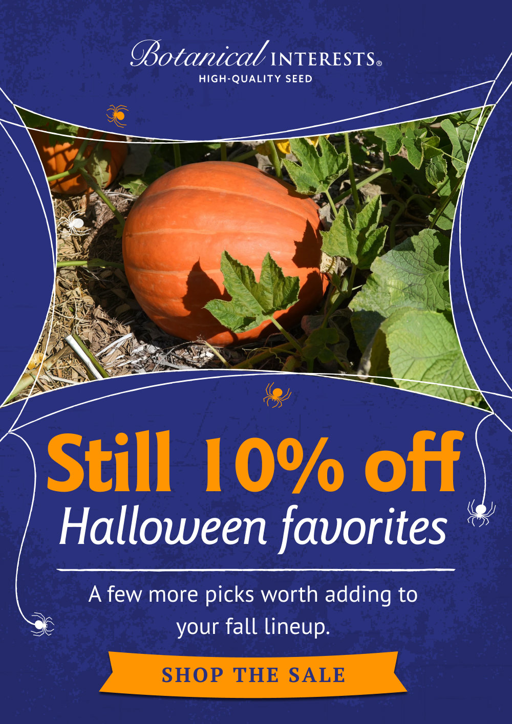 Still 10% off Halloween favorites