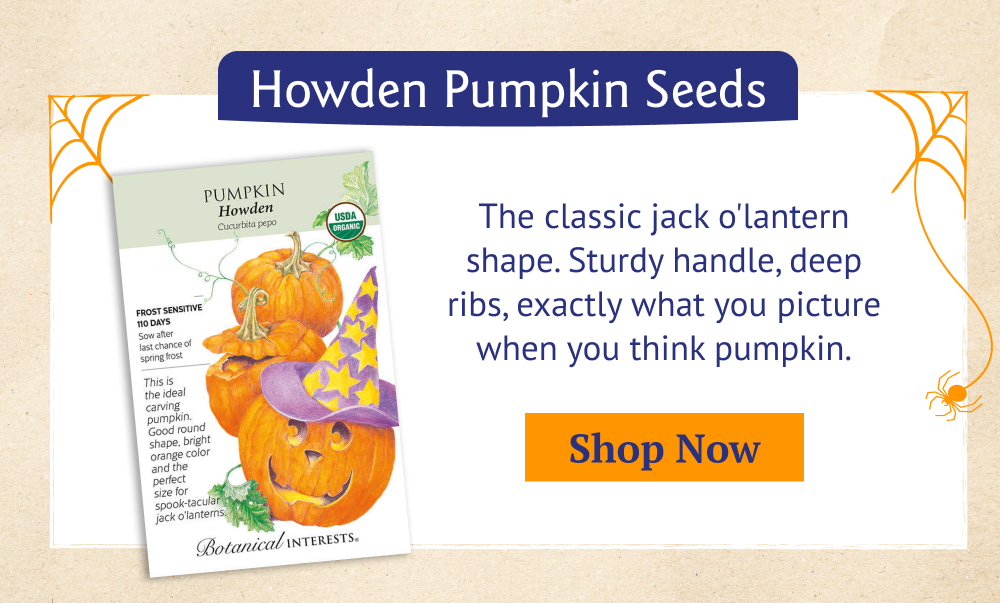 Howden Pumpkin Seeds - The classic jack o'lantern shape. Sturdy handle, deep ribs, exactly what you picture when you...