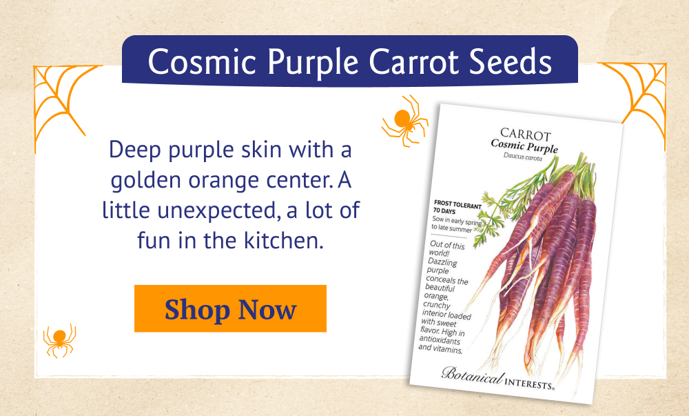 Cosmic Purple Carrot Seeds - Deep purple skin with a golden orange center. A little unexpected, a lot of fun in the kitchen.
